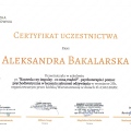 Powiększ obraz: certificate 2