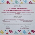 Powiększ obraz: certificate 21
