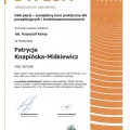 Powiększ obraz: certificate 3