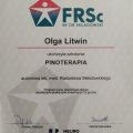 Powiększ obraz: certificate 2
