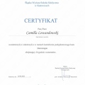 Powiększ obraz: certificate 17