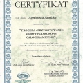 Powiększ obraz: certificate 22