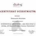 Powiększ obraz: certificate 1
