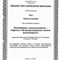 Powiększ obraz: certificate 2