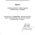 Powiększ obraz: certificate 5