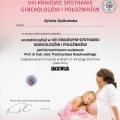Powiększ obraz: certificate 7