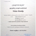 Powiększ obraz: certificate 2