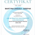 Powiększ obraz: certificate 19