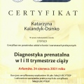 Powiększ obraz: certificate 9