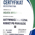 Powiększ obraz: certificate 19