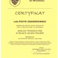 Powiększ obraz: certificate 23