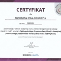 Powiększ obraz: certificate 1