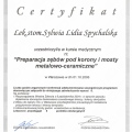 Powiększ obraz: certificate 1