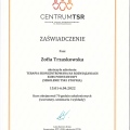 Powiększ obraz: certificate 1