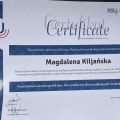 Powiększ obraz: certificate 2