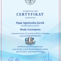 Powiększ obraz: certificate 46