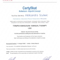 Powiększ obraz: certificate 8