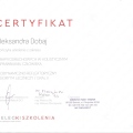 Powiększ obraz: certificate 9