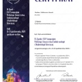 Powiększ obraz: certificate 6
