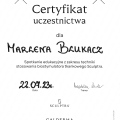 Powiększ obraz: certificate 20