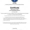 Powiększ obraz: certificate 15