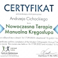 Powiększ obraz: certificate 8