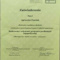 Powiększ obraz: certificate 8