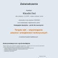 Powiększ obraz: certificate 19
