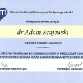 Powiększ obraz: certificate 4