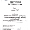 Powiększ obraz: certificate 4