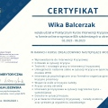 Powiększ obraz: certificate 12