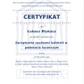 Powiększ obraz: certificate 284