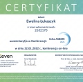 Powiększ obraz: certificate 13
