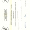 Powiększ obraz: certificate 2