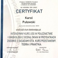Powiększ obraz: certificate 4