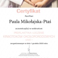 Powiększ obraz: certificate 22