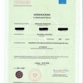 Powiększ obraz: certificate 1