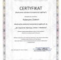 Powiększ obraz: certificate 4