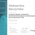 Powiększ obraz: certificate 5