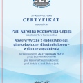 Powiększ obraz: certificate 40