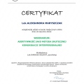 Powiększ obraz: certificate 5