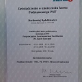 Powiększ obraz: certificate 19