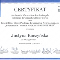 Powiększ obraz: certificate 2