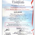 Powiększ obraz: certificate 2