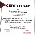 Powiększ obraz: certificate 4