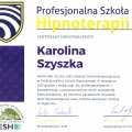Powiększ obraz: certificate 1