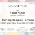 Powiększ obraz: certificate 9