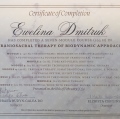 Powiększ obraz: certificate 16