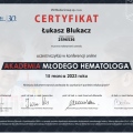 Powiększ obraz: certificate 275