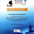Powiększ obraz: certificate 2